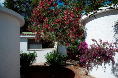 Camping Capo Vieste - Cottage - Photo 1