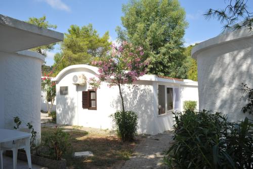 Camping Capo Vieste - Cottage - Photo 2