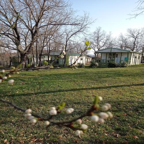 Camping Le Roc del Rey - Chalet 2 bedrooms - Photo 5