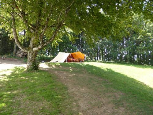 Camping Le Plô - Big Tent De Waard without toilet blocks - Photo 2