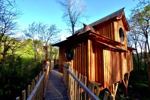 Camping La Forêt - Refuge & Spa Le Mont Fuji - Photo 10