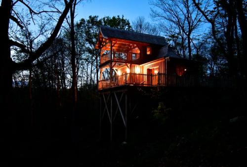 Camping La Forêt - Refuge & Spa Le Mont Fuji - Photo 2