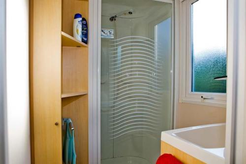 Sites et Paysages La Forêt - Mobile home Comfort - Photo 4