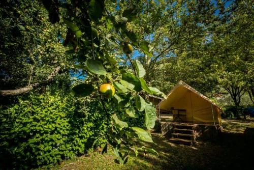 Camping Le Mouretou - CANADA TRECK 12m² / 1 bedrooms - without toilet blocks - Photo 4