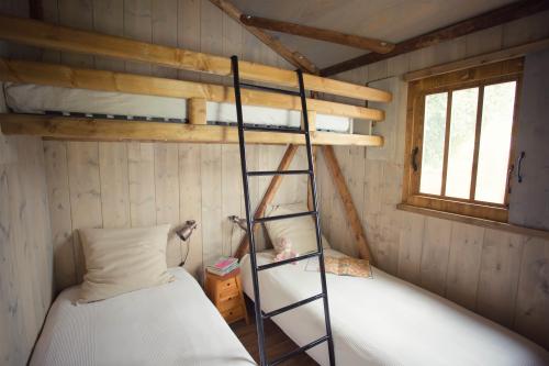 Camping du PIGEONNIER - CABANE LODGE LOU PITCHONIER 39 m2 - 2 bedrooms - Photo 7