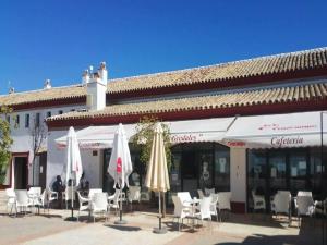 Image of Camping Pueblo Blanco