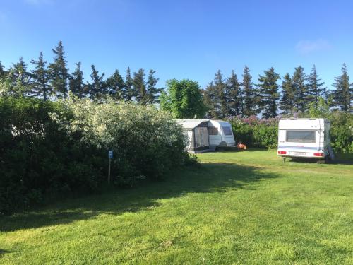 Ballum Camping