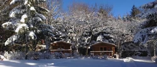 Camping de la Forêt