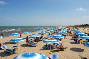 Image of Camping Tellina