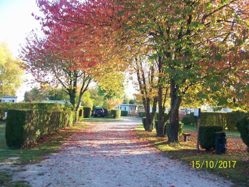 Camping LE PONT ROUGE ET LES VIGNES