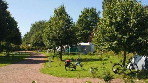 Camping du Vélodrome Albert