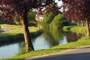 Image of Camping du Vélodrome Albert