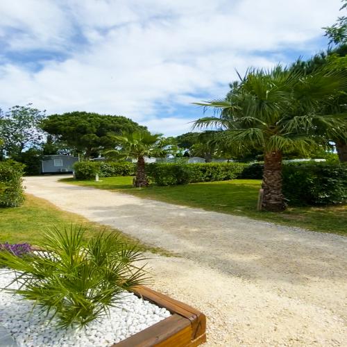 Camping Les Flamants Roses