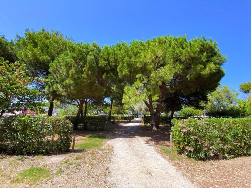 Camping Les Flamants Roses