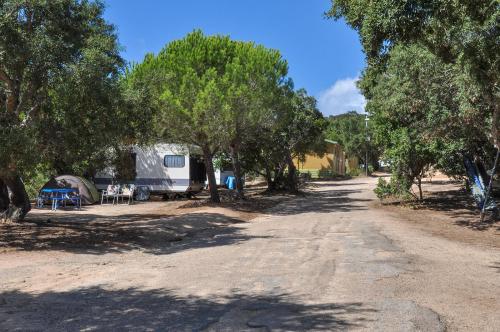 Camping le Damier