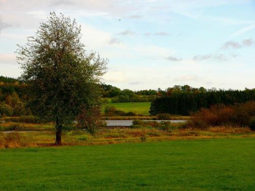 Campingplatz Jungferweiher