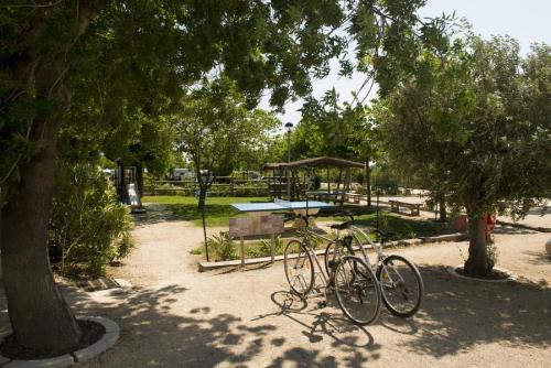 Camping L'Arlésienne