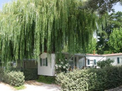 Chadotel Les Jardins Catalans