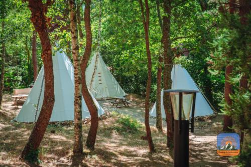 Camping Des Randonneurs