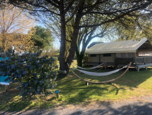 Image of Camping Seasonova Ile de Ré