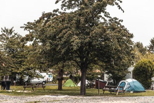 Camping de la Seine & SPA ****
