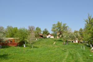Image of Camping Zamolxe