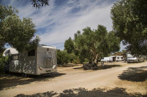 Olivia Green Camping