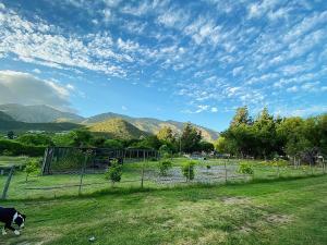 Image of Camping De Bos