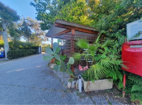 Camping La Focetta Sicula