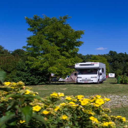 Castel Camping Les Bois du Bardelet