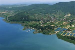 Image of Camping Villaggio Italgest