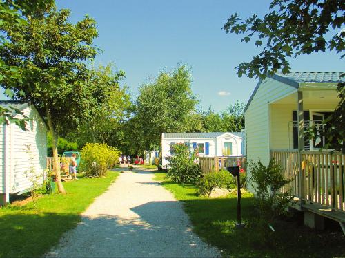 Flower Camping Cap Finistère