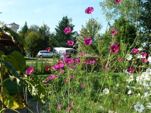 Camping les Ripettes