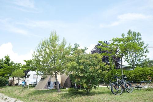 Camping Koawa Forcalquier Les Routes...