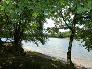 Image of Camping de L'Etang du Merle