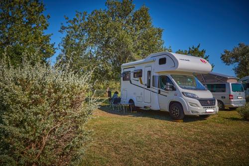 Camping Crin Blanc
