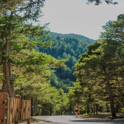 Camping Rioclar