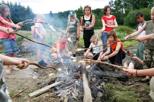 Camping Petite Suisse