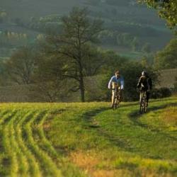 Domaine des Cadets de Gascogne