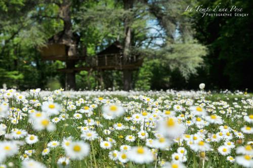 Le Parc de la Belle