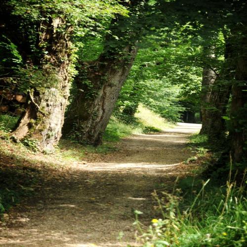 Le Parc de la Belle