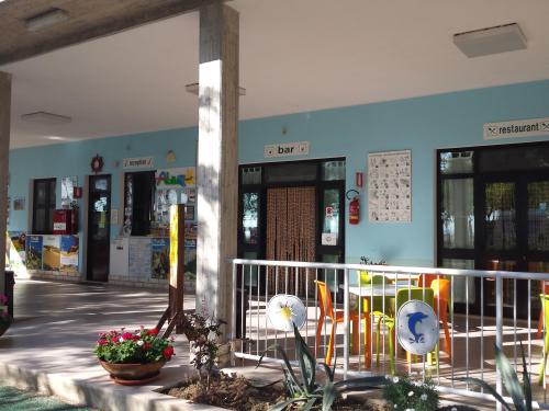 International Camping Torre di Cerra...