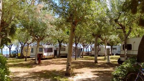 International Camping Torre di Cerra...