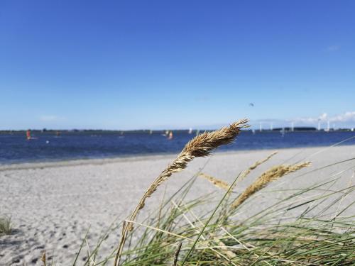 Camping- und Ferienpark Wulfener Hal...