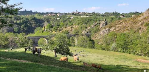Camping le Viaduc