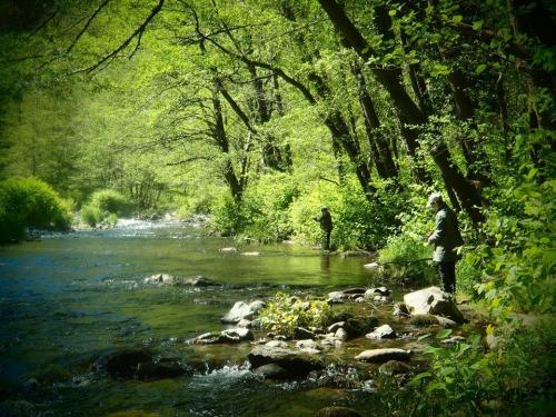 Camping le Viaduc