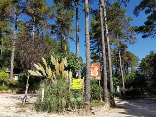 Camping les Pins d'Ucel