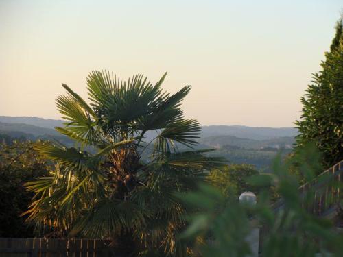 Camping Le Daguet