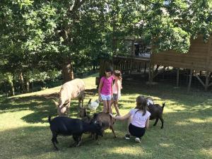 Image of Camping L'Offrerie