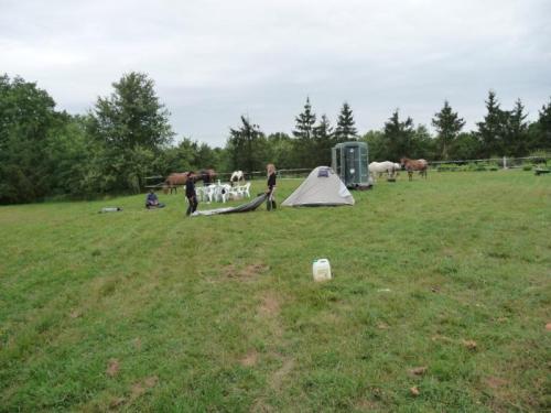 Le Domaine du CASTEX - Camping & Héb...